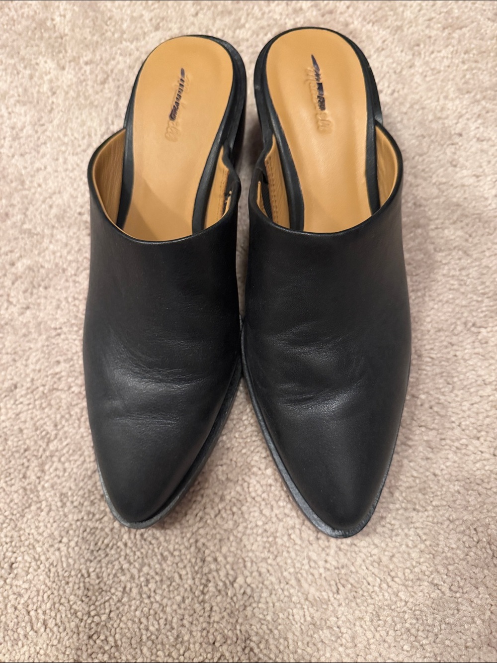 Madewell Black Pointed Leather Mule
